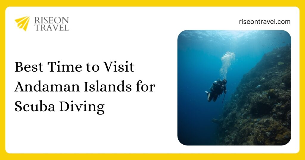 Blog thumbnail