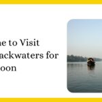 Blog thumbnail