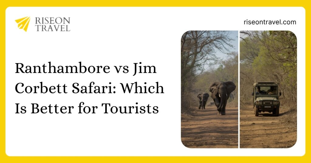 Blog thumbnail