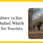 Blog thumbnail